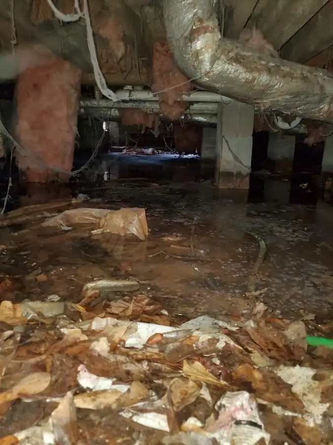 Crawl space flood assessment for Leak Detection & Repair in West Modesto